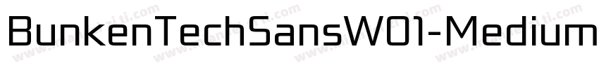 BunkenTechSansW01-Medium Regular字体转换
